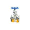 Forged steel medium temperature din bellow sealed forged globe valve 800#